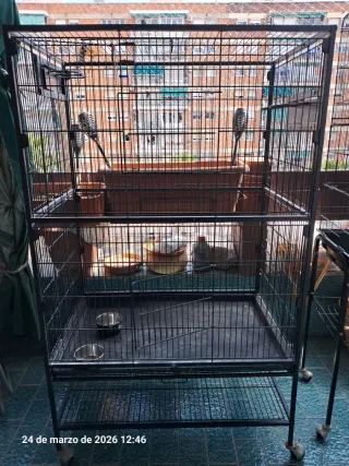 Jaula para pájaros grande