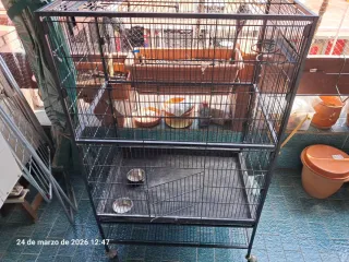 Jaula para pájaros grande