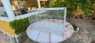 Jaula para pájaros/conejos