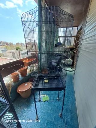 Jaula para pájaros grande