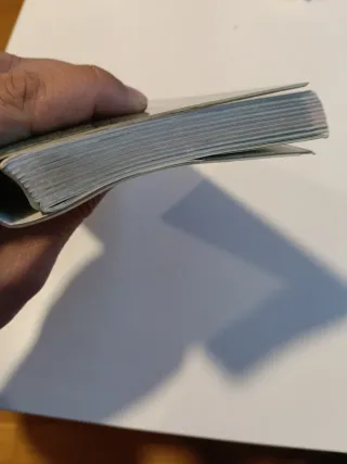 Guía de la Naturaleza: FLORES - Editorial Everest