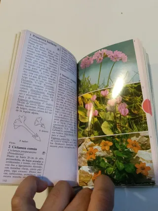 Guía de la Naturaleza: FLORES - Editorial Everest