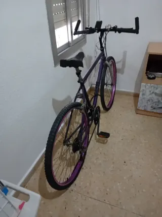 Bicicleta de montaña