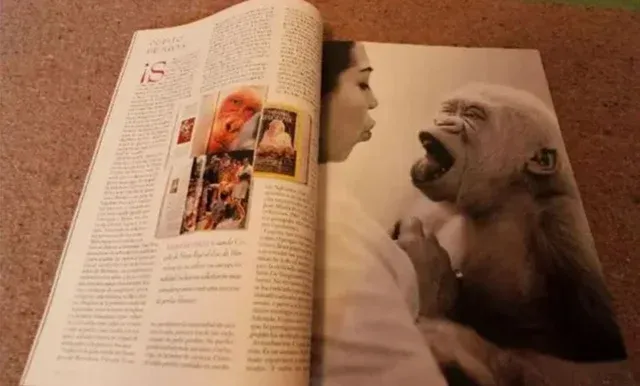 Revista El Mundo 1996 Copito de Nieve