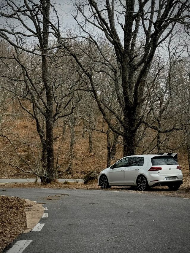 Volkswagen Golf 7.5 GTI Performance 245cv DSG