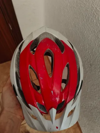 Patinete Eléctrico Xiaomi Pro 2