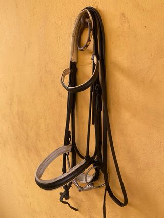 Cabezada doma filete oliva