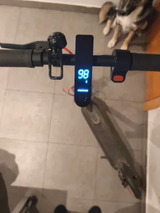 Patinete Eléctrico Xiaomi PRO 365