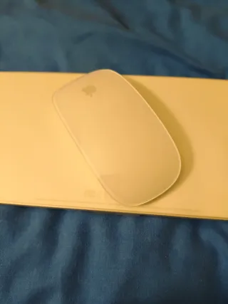 Teclado y Ratón Apple Plata - efectivo