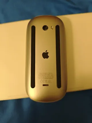 Teclado y Ratón Apple Plata - efectivo