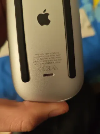 Teclado y Ratón Apple Plata - efectivo