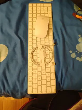 Teclado y Ratón Apple Plata - efectivo