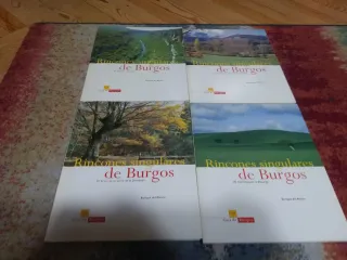 Coleccion temas burgaleses