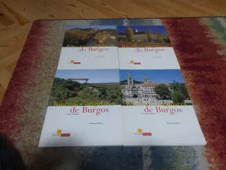 Coleccion temas burgaleses