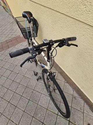 Bicicleta Híbrida Shogun.