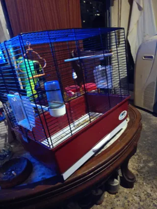 Jaula para pájaros azul y roja