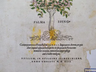 4 Incisioni Botaniche del 1542. DE HISTORIA STIRPIUM