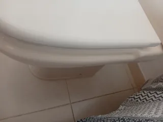 Inodoro de porcelana blanco