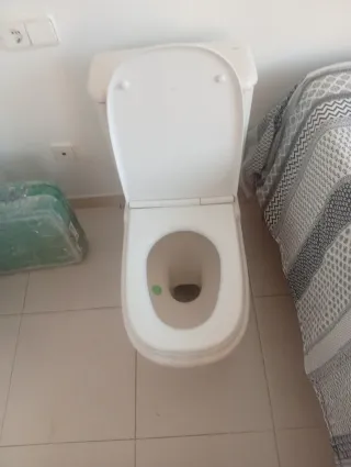 Inodoro de porcelana blanco