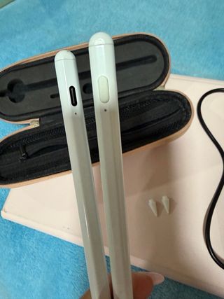 2 Lápices Stylus Carga USB-C para iPad