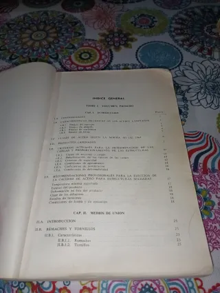 La estructura metálica hoy
