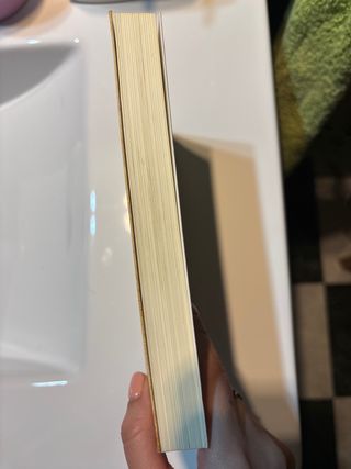 El escarabajo de Horus