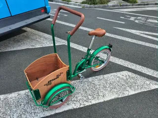 Triciclo para niños y mascotas