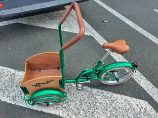 Triciclo para niños y mascotas