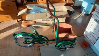 Triciclo para niños y mascotas