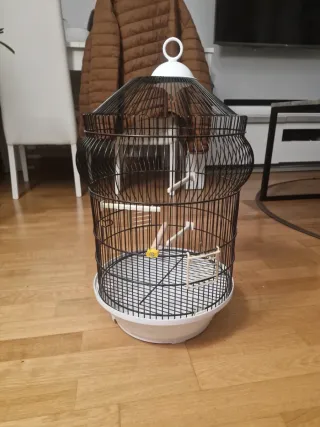 Jaula vintage cúpula negra y blanca