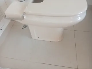 Inodoro Bidet beige
