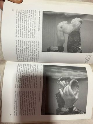 El Gran Libro de los Canarios