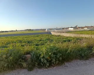 Parcela  rustica de 750m2 ideal recreo y naturalez