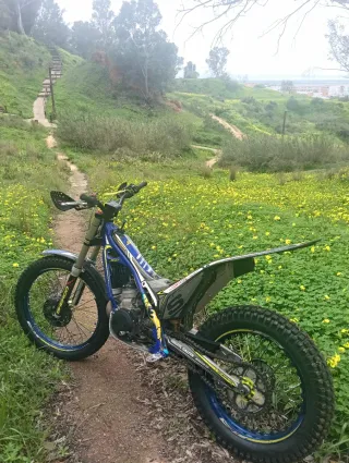 SHERCO St 300 FACTORY 2017 Trial