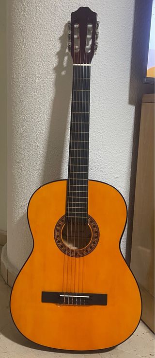 Guitarra Española Rocío R10 + Funda
