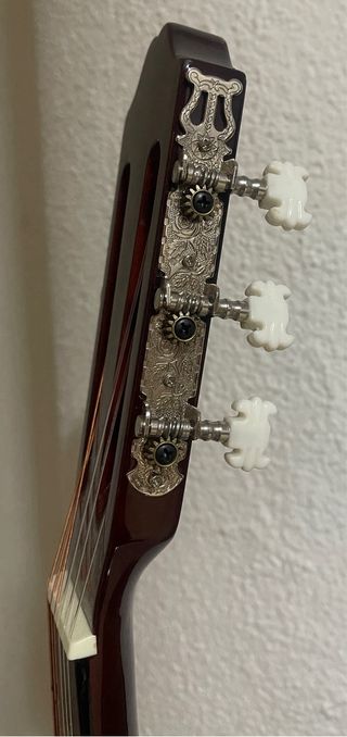 Guitarra Española Rocío R10 + Funda