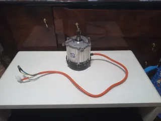 Motor Eléctrico 1000W 48/60V