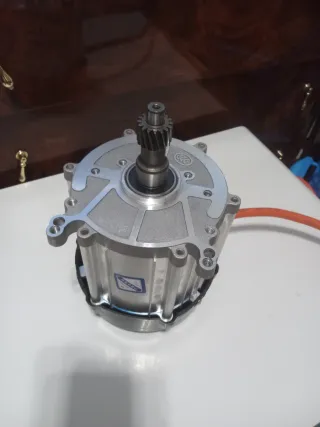 Motor Eléctrico 1000W 48/60V