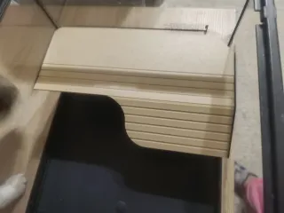 Terrario Tortuga Agua Buen Estado