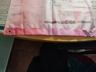 Póster chica estilo anime