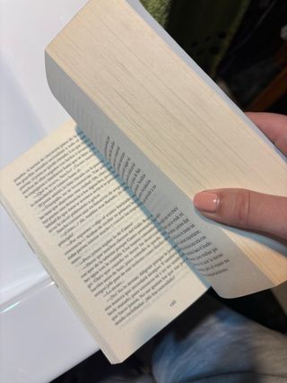 La leyenda del ladrón