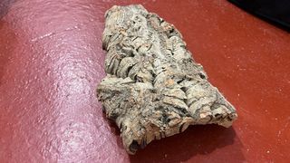 Corcho decorativo natural.