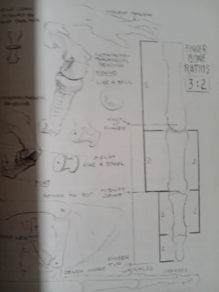 Atlas of Human Anatomy for the Artist