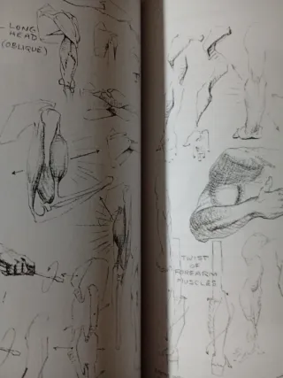 Atlas of Human Anatomy for the Artist