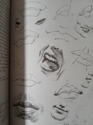 Atlas of Human Anatomy for the Artist