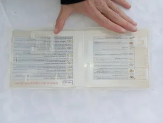 Caja Nintendogs Teckel DS Original