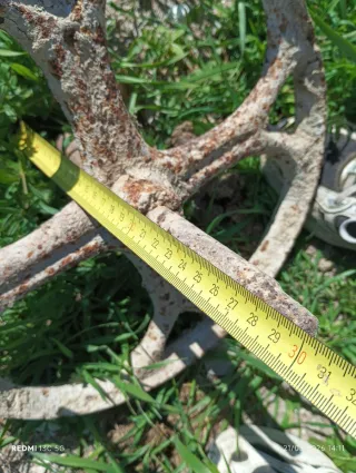 Rueda antigua de hierro fundido