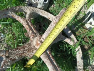 Rueda antigua de hierro fundido