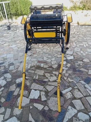 Carro y Arneses y riendas de caballo