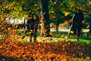 Soffiatore 2 batterie 48v Velocità Regolabile Sacc